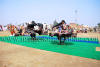 Images of Braj Festival Bharatpur: image 16 0f 44 thumb