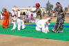 Images of Braj Festival Bharatpur: image 17 0f 44 thumb
