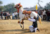 Images of Braj Festival Bharatpur: image 18 0f 44 thumb