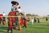 Images of Elephant Festival Jaipur: image 7 0f 32 thumb
