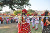 Images of Elephant Festival Jaipur: image 11 0f 32 thumb