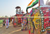 Images of Elephant Festival Jaipur: image 16 0f 32 thumb
