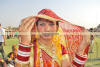 Images of Elephant Festival Jaipur: image 26 0f 32 thumb