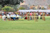 Images of Elephant Festival Jaipur: image 22 0f 32 thumb