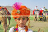 Images of Elephant Festival Jaipur: image 31 0f 32 thumb