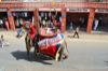 Images of Mahaveer Jayanti Jaipur: image 2 0f 40 thumb