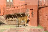 Images of Ranthambhore National Park: image 47 0f 56 thumb