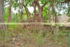 Images of Bhangarh: image 10 0f 24 thumb