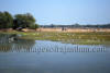 Images of Keoladeo National Park Bharatpur: image 19 0f 28 thumb