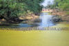 Images of Keoladeo National Park Bharatpur: image 11 0f 28 thumb
