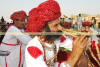 Images of Elephant Festival Jaipur: image 25 0f 32 thumb