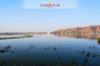 Images of Jal Mahal Jaipur: image 19 0f 40 thumb