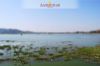 Images of Jal Mahal Jaipur: image 33 0f 40 thumb