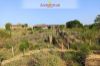 Images of Kishan Bagh Jaipur: image 44 0f 44 thumb