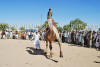 Images of Cattle Fair Nagaur: image 21 0f 32 thumb