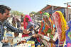 Images of Cattle Fair Nagaur: image 3 0f 32 thumb