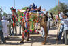 Images of Cattle Fair Nagaur: image 11 0f 32 thumb