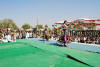 Images of Cattle Fair Nagaur: image 30 0f 32 thumb