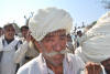 Images of Cattle Fair Nagaur: image 14 0f 32 thumb