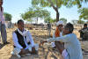 Images of Cattle Fair Nagaur: image 1 0f 32 thumb