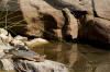 Images of Ranthambhore National Park: image 1 0f 44 thumb