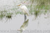 Images of Ranthambhore National Park: image 1 0f 44 thumb