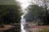 Images of Ranthambhore National Park: image 1 0f 44 thumb