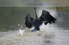 Images of Ranthambhore National Park: image 1 0f 44 thumb