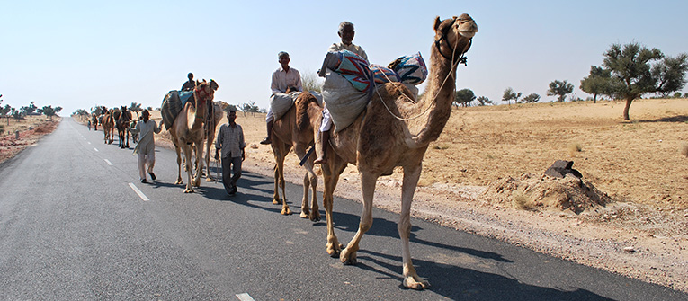 Images of Rural Rajasthan